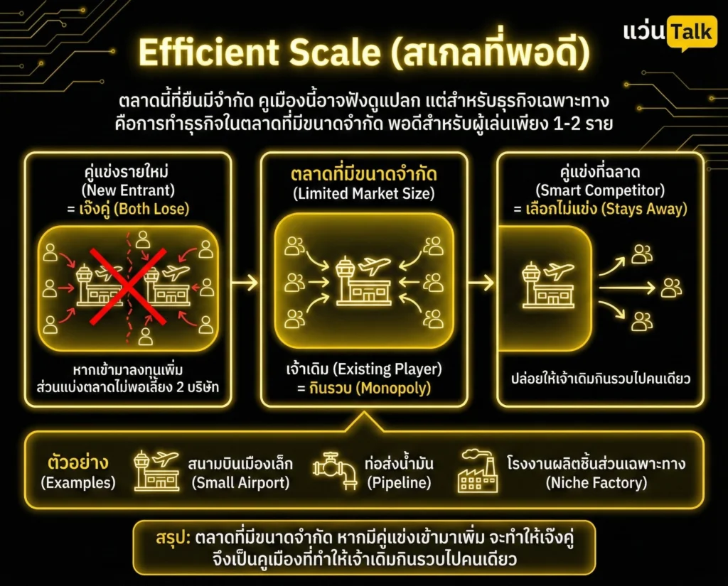 Efficient Scale (สเกลที่พอดี)
