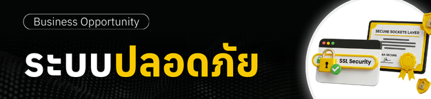 รับทำเว็บไซต์ พร้อมระบบปลอดภัย
